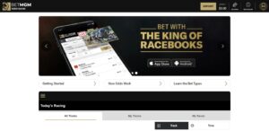user portal interface from BetMGM