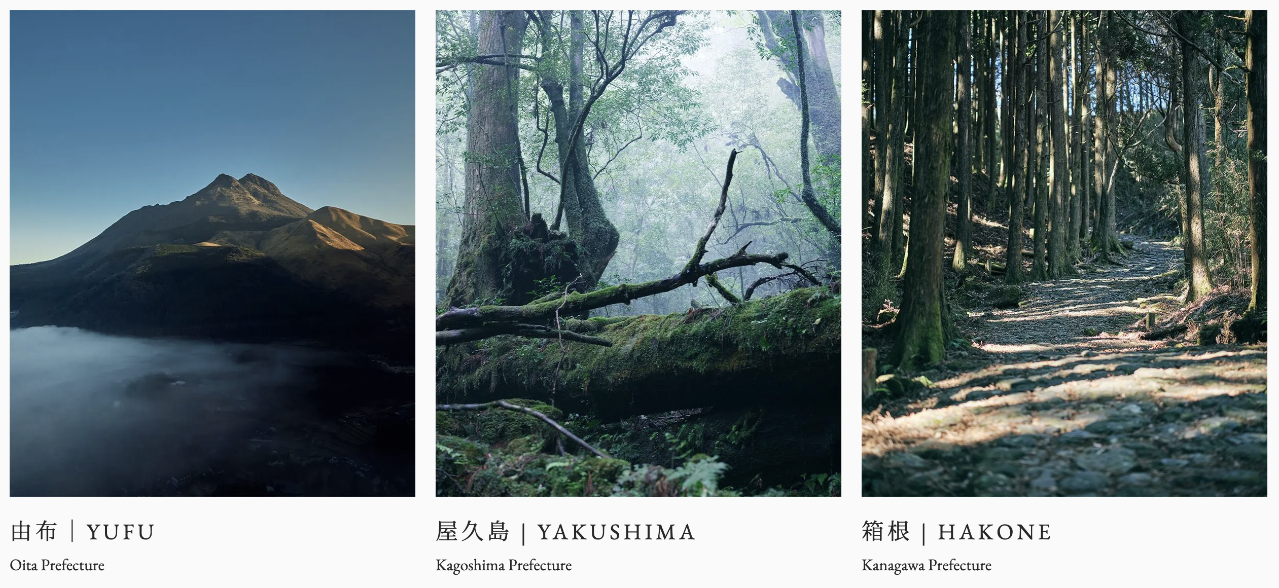 Atona concept photos.