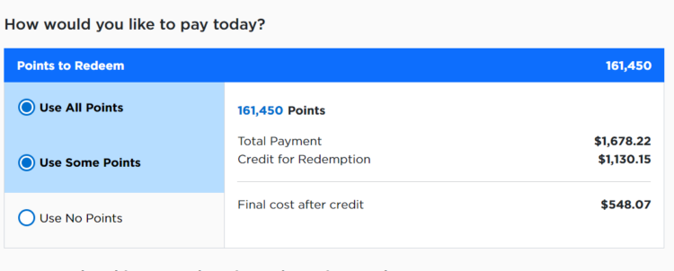 Screen shot of American Express Travel portal option to pay for a cruise with points