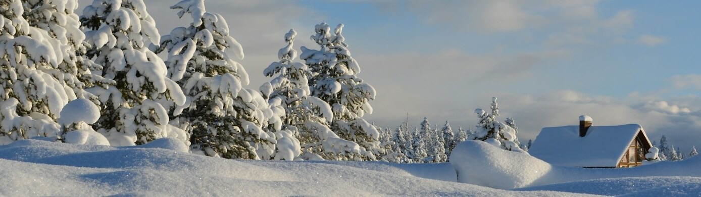 How to Book an Airbnb Like a Pro