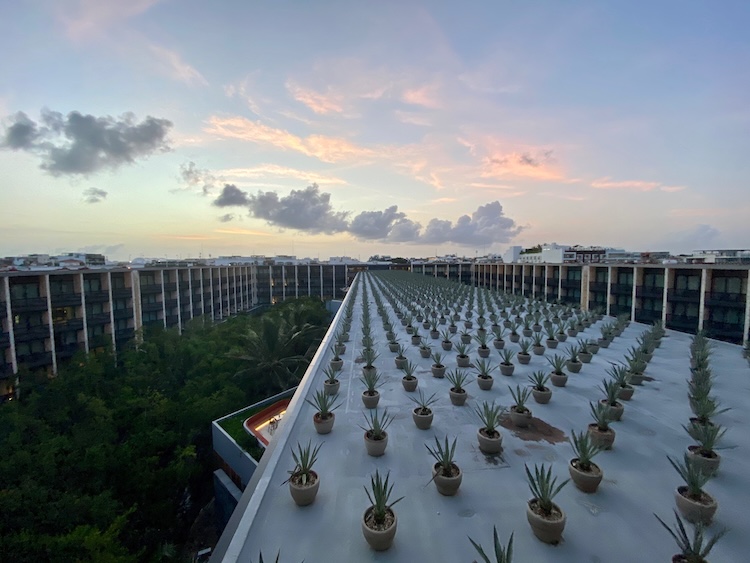Grand Hyatt Playa del Carmen