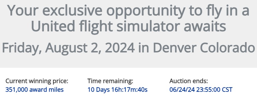 United Flight Training Experience June 2024