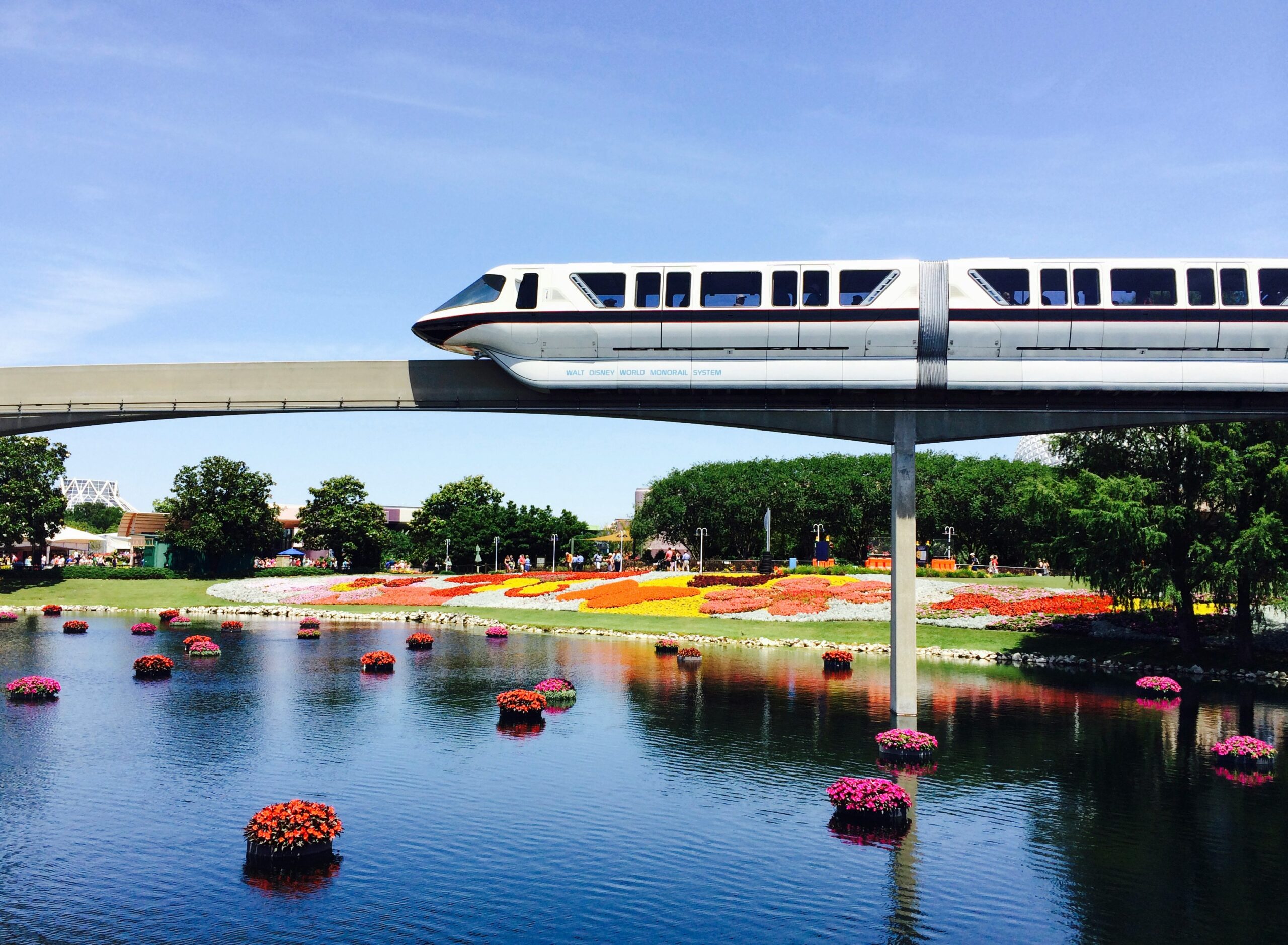 Disney World monorail driving through EPCOT over water with floating flowers