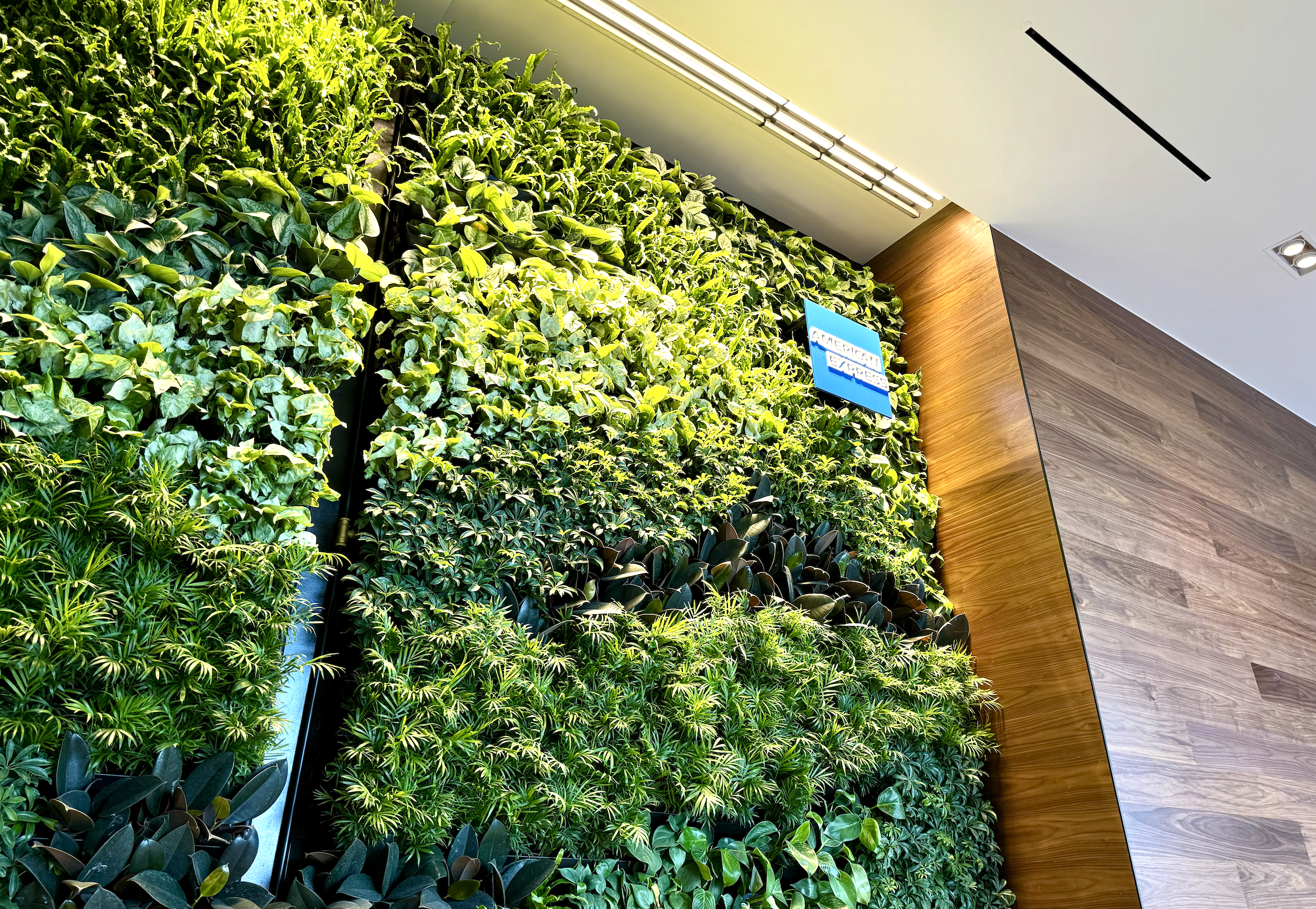 DCA Centurion Lounge living wall