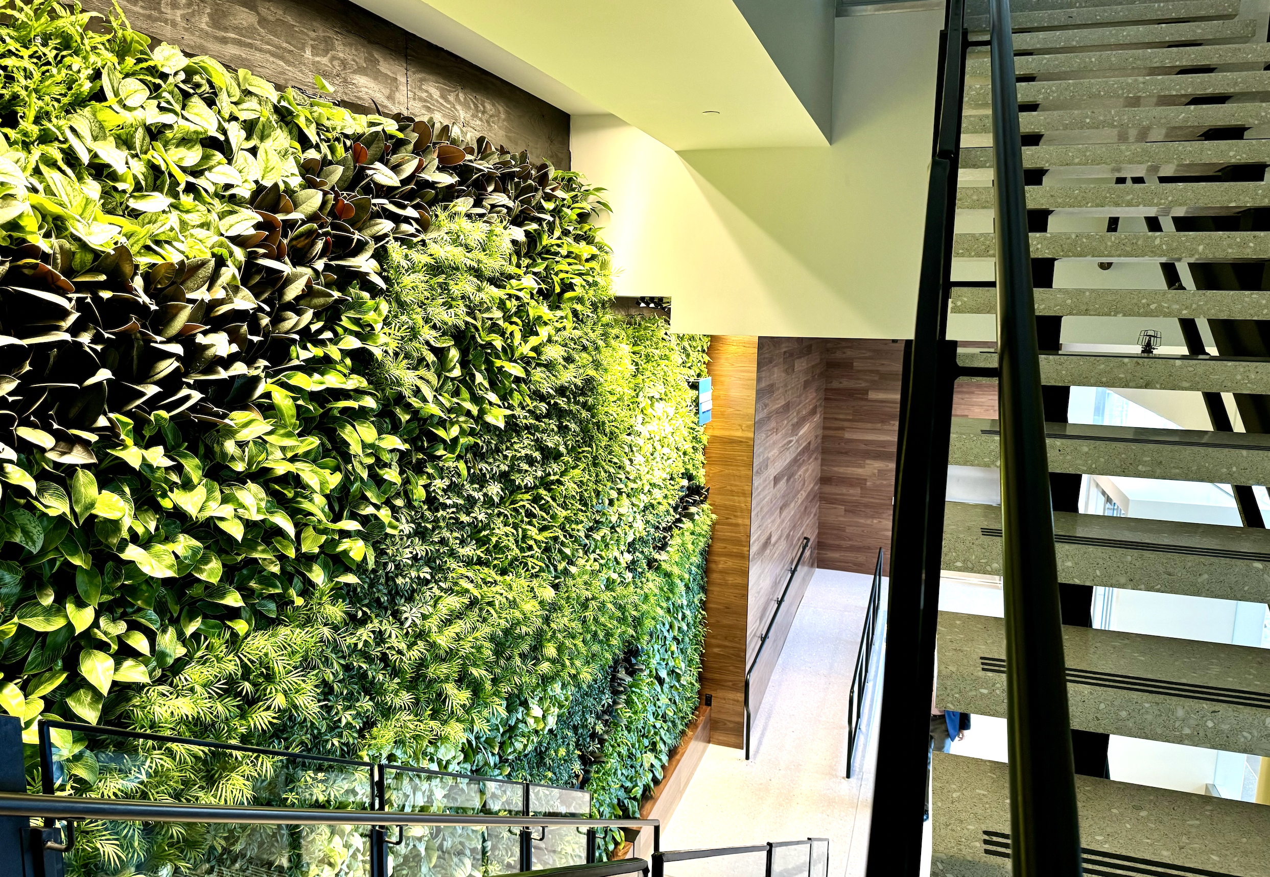 DCA Centurion Lounge stairs and living wall