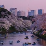 Earn 9X ANA Mileage Club Miles on IHG Stays This Summer