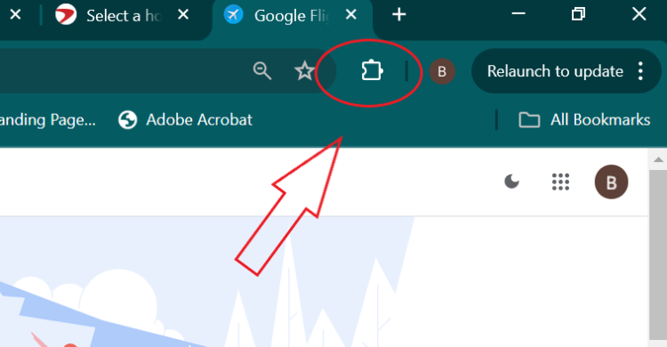Screenshot shows were to find browser extensions on Google Chrome