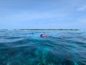 Snorkeling the Le Meridien Maldives house reef