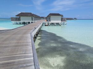 Overwater villas, a school of fish and a baby shark at the Le Meridien Maldives