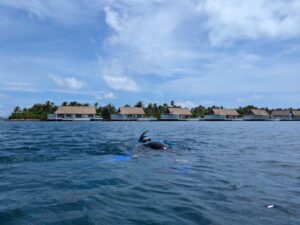 Snorkeling the house reef by reef villas at the Waldorf Astoria Maldives