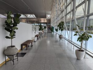 Delta One JFK check-in hallway