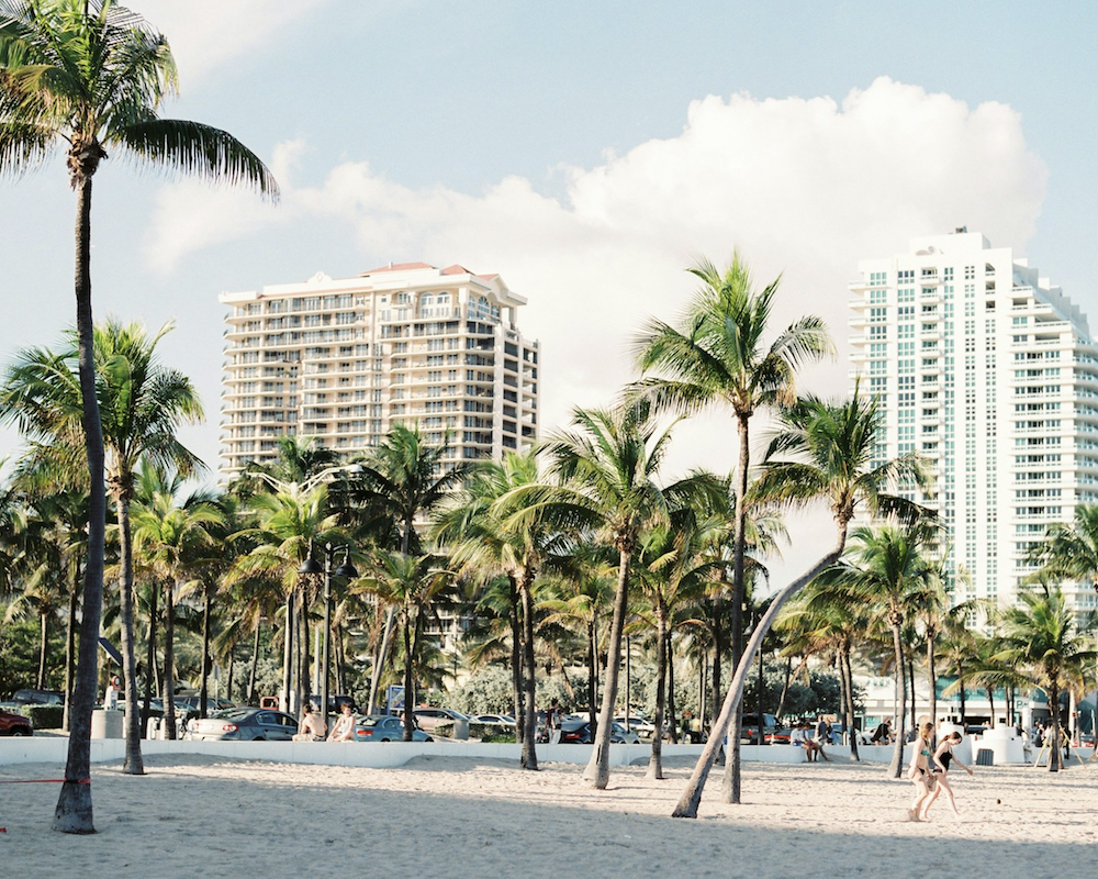Apartment buildings as seen from Miami Beach.