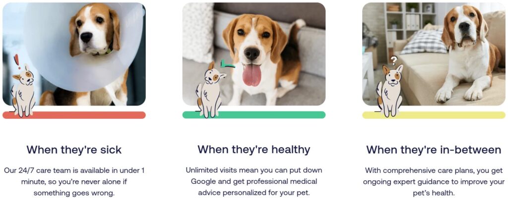Pawp Telehealth Service Details