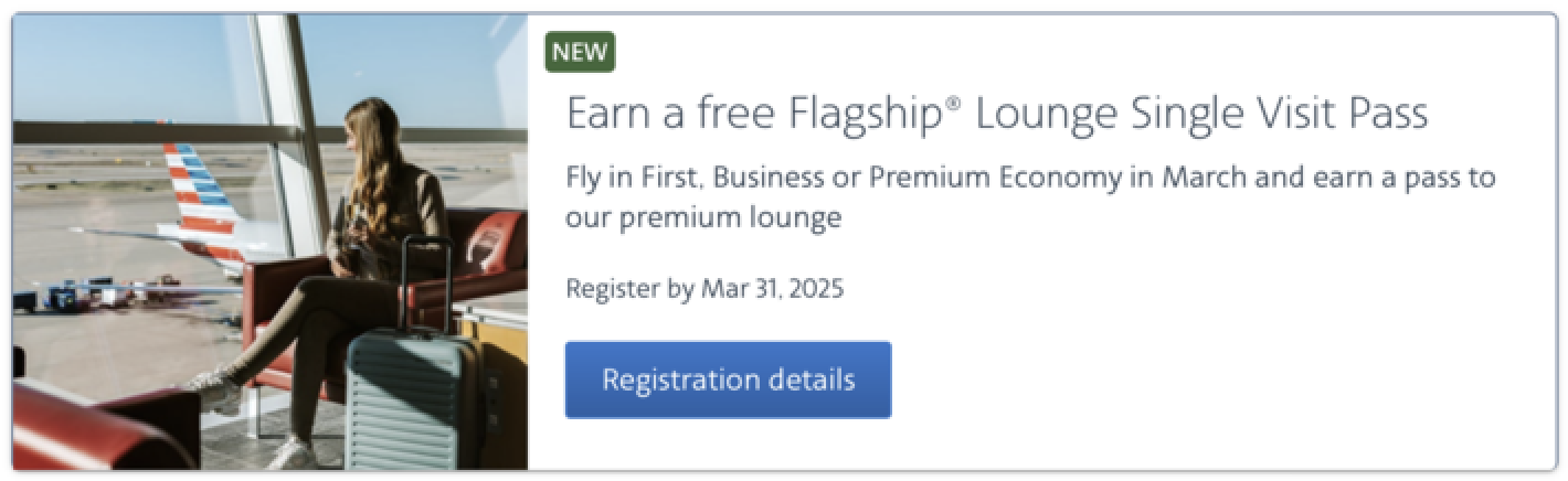 AA targeted promotion for a one-time Flagship Lounge pass.