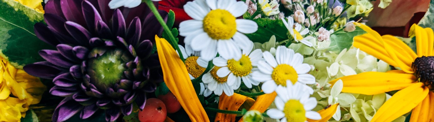 Grow Your Rewards Balance: How To Earn Bonus Points When You Buy Flowers for Mother's Day