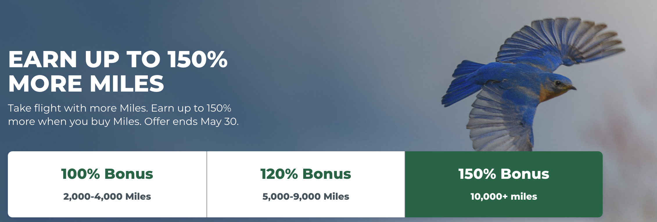 Buy Frontier miles with a bonus.