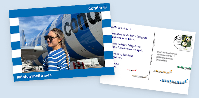 Condor Stripes Postcard