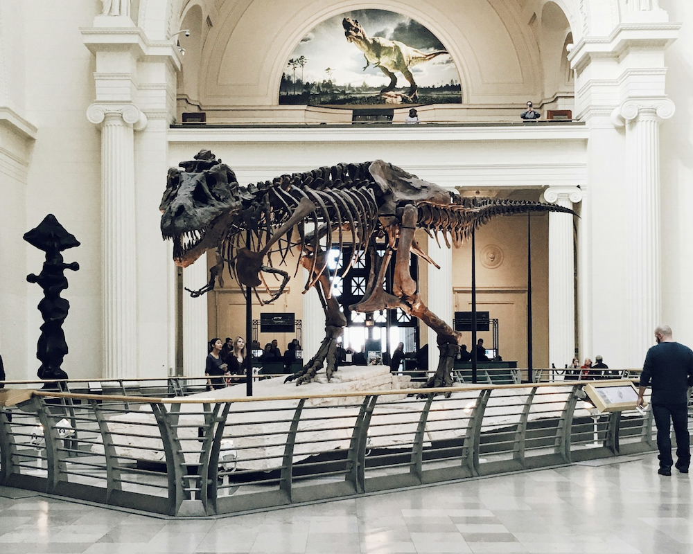 The Field Museum, Chicago, United States