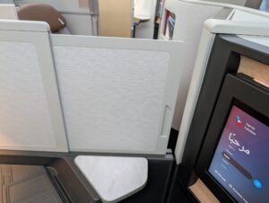 American Airlines Flagship Suite on Boeing 787-9P privacy divider