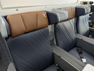 American Airlines Boeing 787-9P premium economy headrest