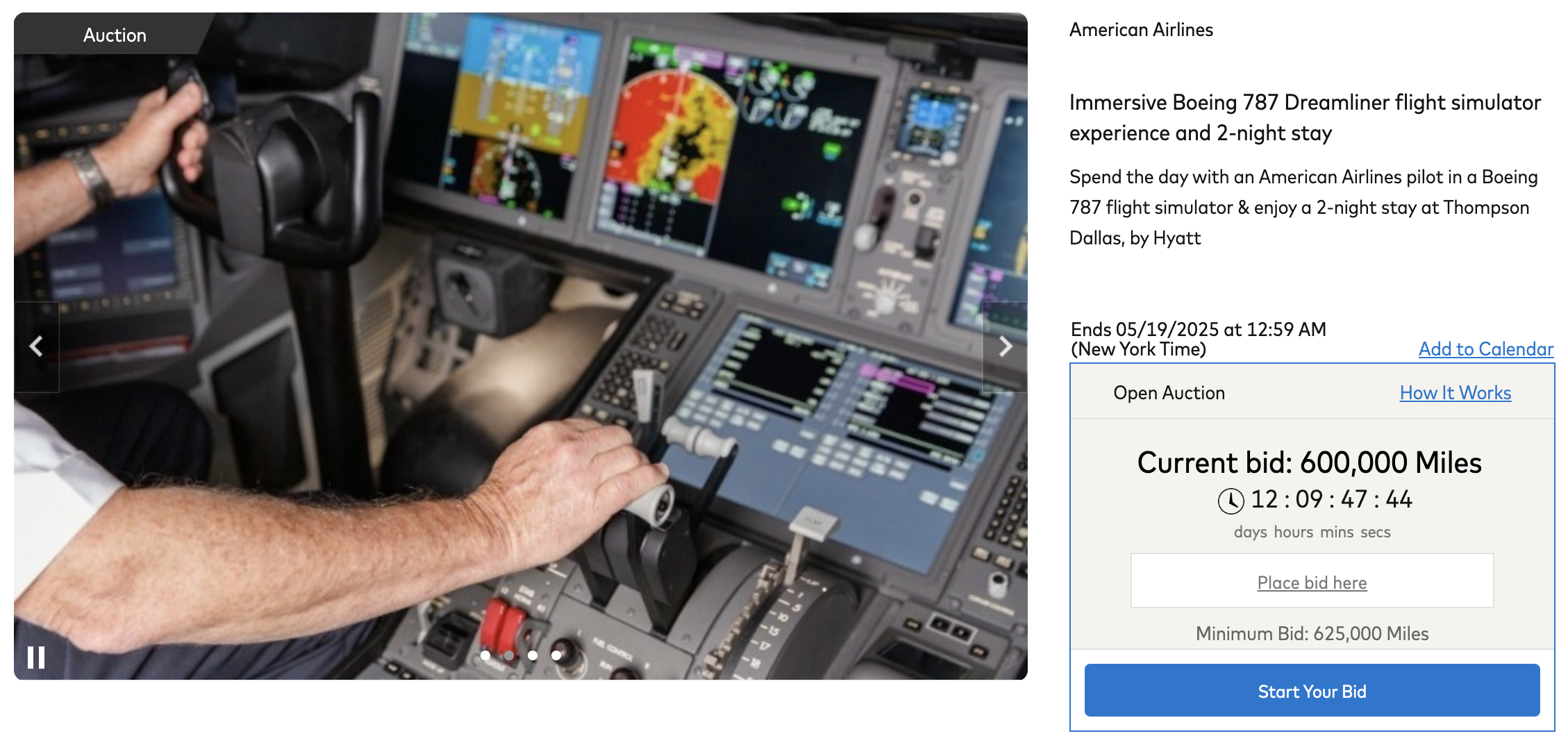 American Airlines Priceless Experience