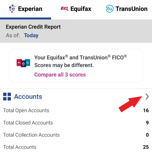 A screen shot from the Experian app shows the accounts tab.