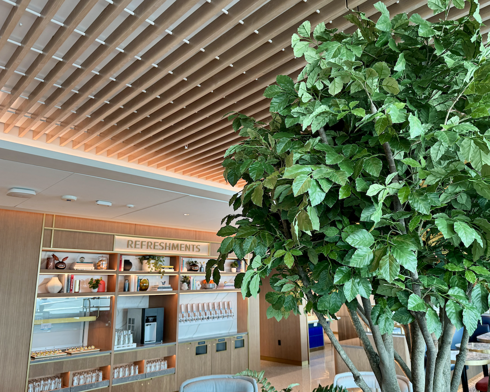 Capital One Lounge at JFK dining room area, fake tree.