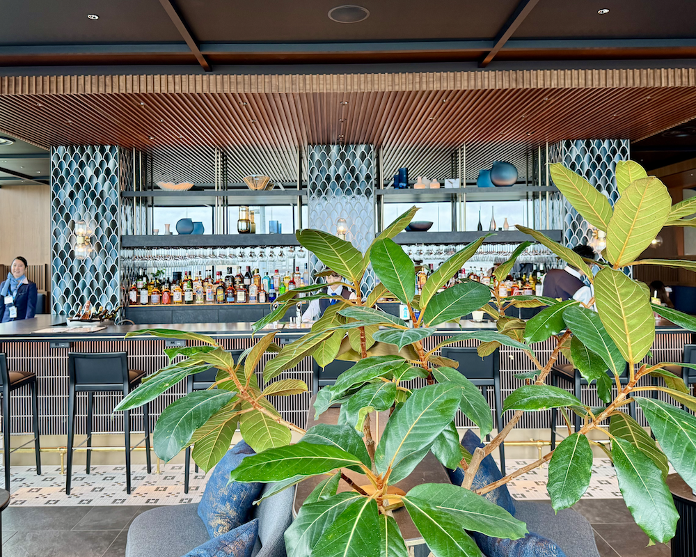Amex Centurion HND bar with a plant in front.