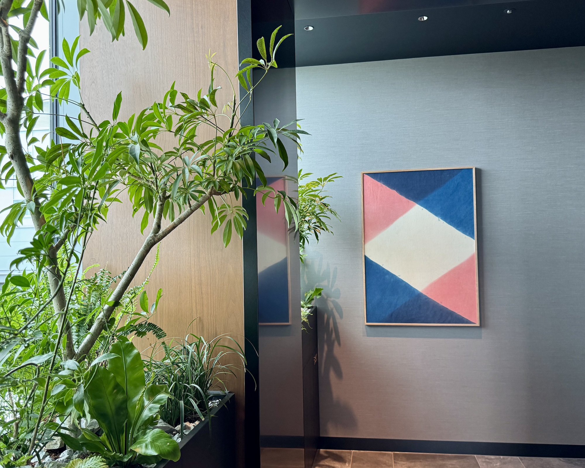 Amex Centurion HND artwork
