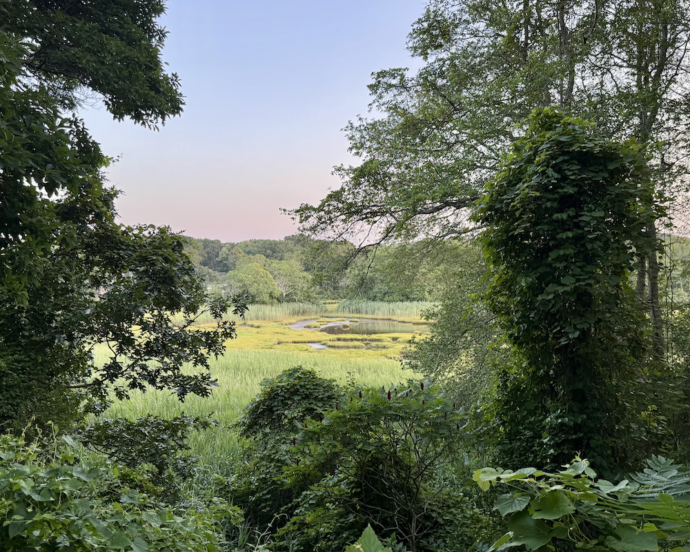 View from AutoCamp Cape Cod trail.