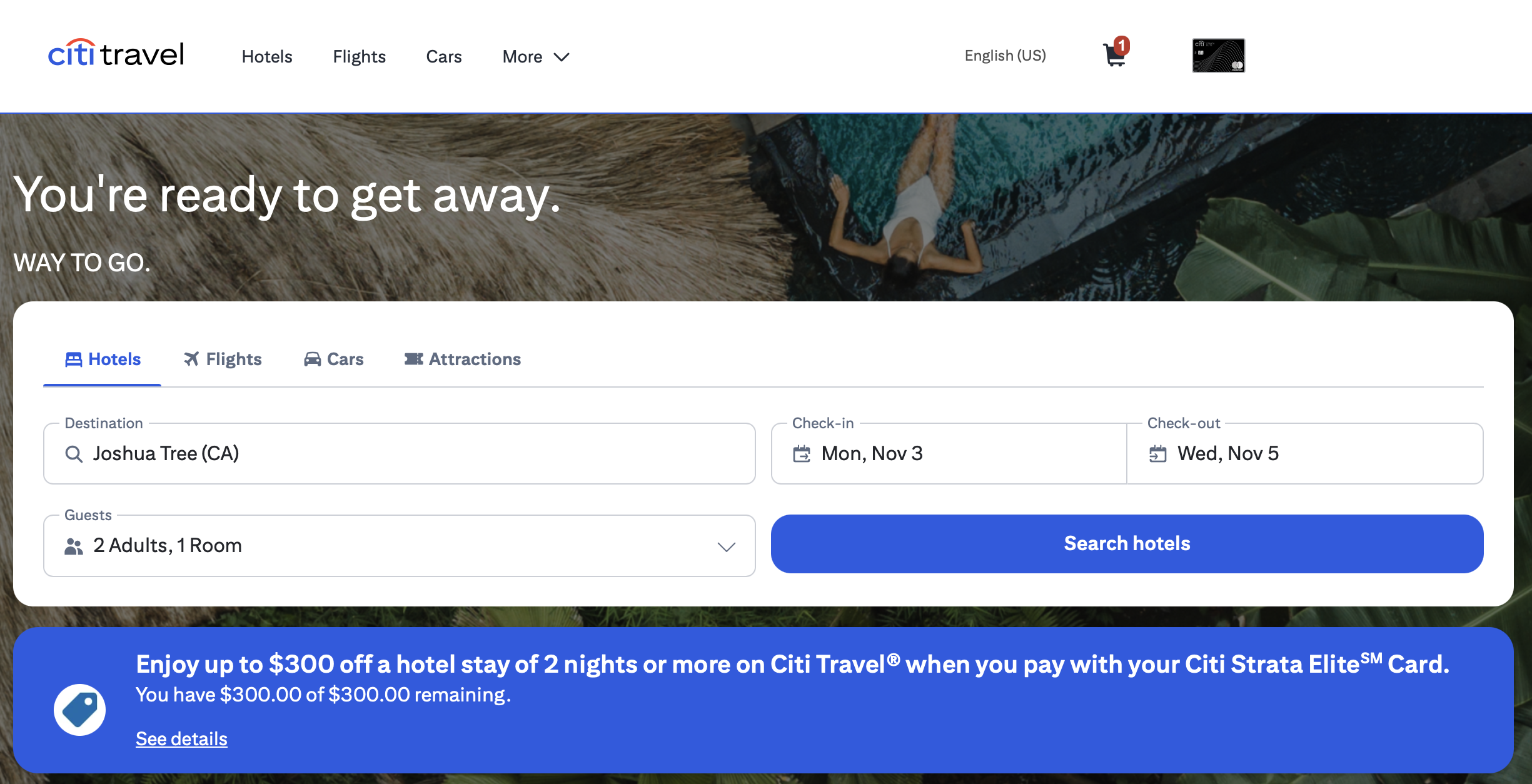 Citi Travel homepage.