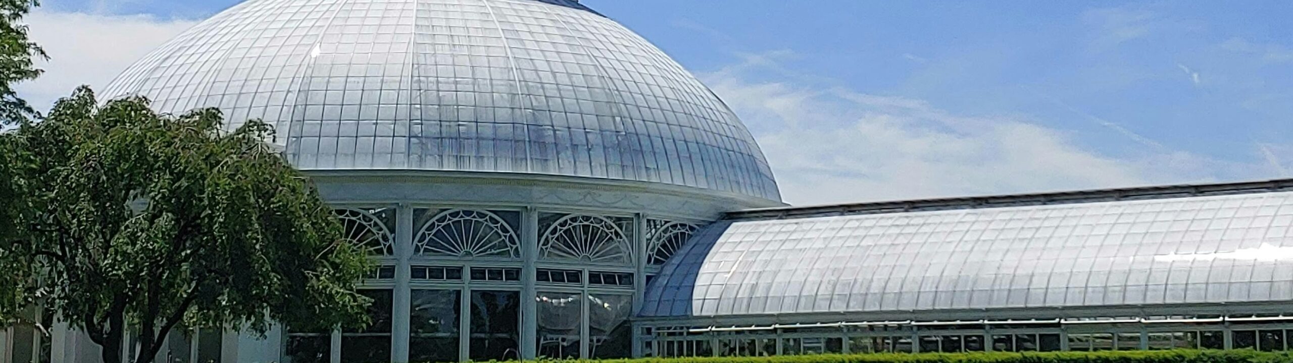 Bank of America Museums on Us: Get Free Museum Entry with This Cardholder Perk