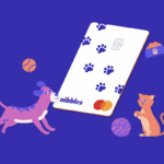 The Nibbles Pet Rewards Credit Card: The Purrfect Card for Pet Owners?
