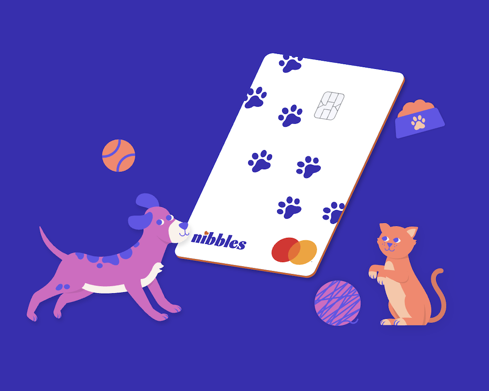 The Nibbles Pet Rewards Credit Card: The Purrfect Card for Pet Owners?