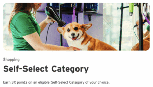 Woman in green shirt blow drying a tan dog's hair