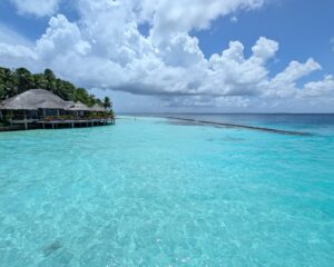 House reef at Baros Maldives
