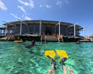 Snorkeling off Chill Bar at Six Senses Laamu in the Maldives