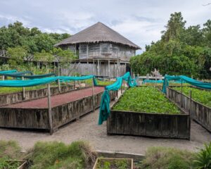Leaf restaurant and the resort garden at Six Senses Laamu in the Maldives