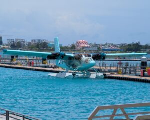 Flying Sea Turtle plane for Six Senses Laamu in the Maldives
