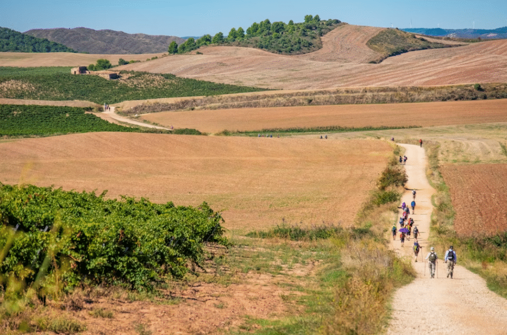 Camino de Santiago hike