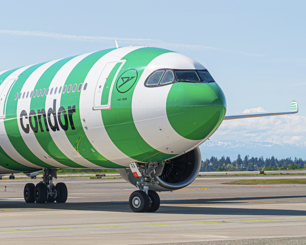 Condor A330 in a green striped livery.
