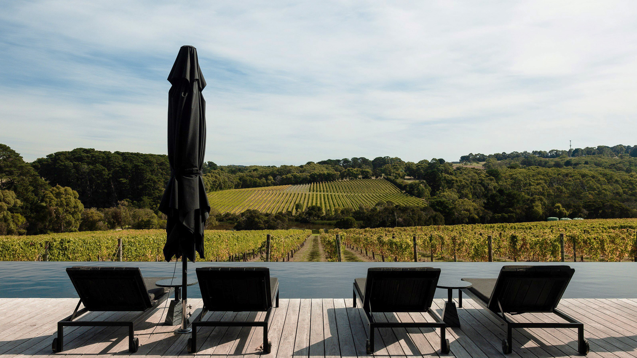 The infinity pool overlooking the vineyard at the Jackalope Hotel.