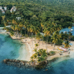 How to Transfer Capital One Miles to Airline and Hotel Partners: A Step-By-Step Guide