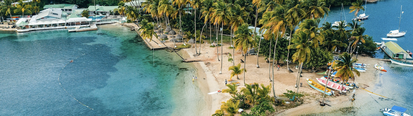 How to Transfer Capital One Miles to Airline and Hotel Partners: A Step-By-Step Guide