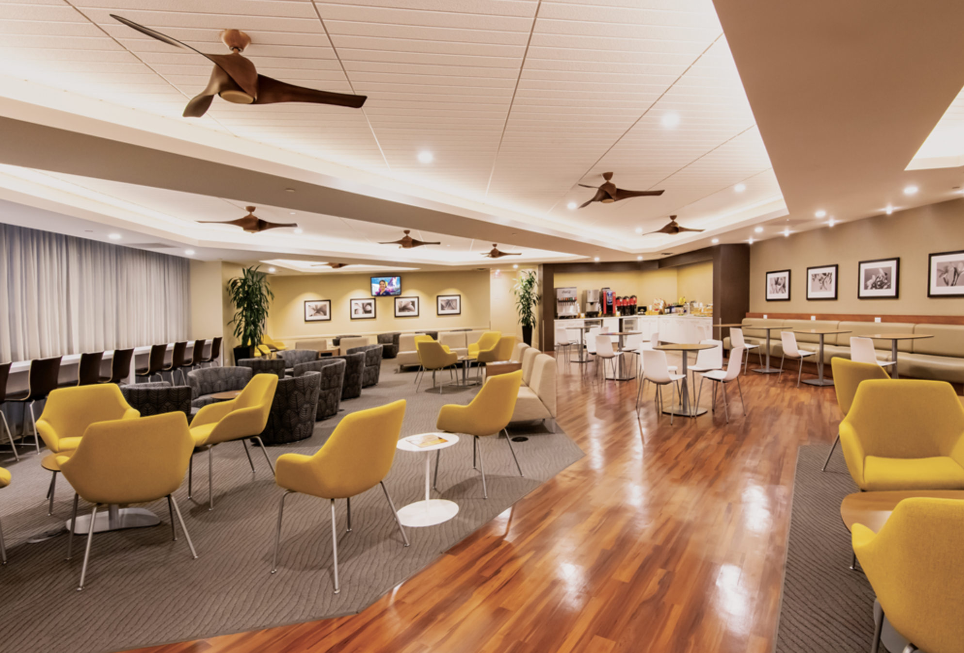 The Plumeria Lounge seating area.