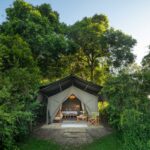 New: Earn and Redeem Hyatt Points for Luxury Safaris Through New Mr & Mrs Smith Partnership