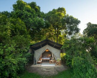 New: Earn and Redeem Hyatt Points for Luxury Safaris Through New Mr & Mrs Smith Partnership
