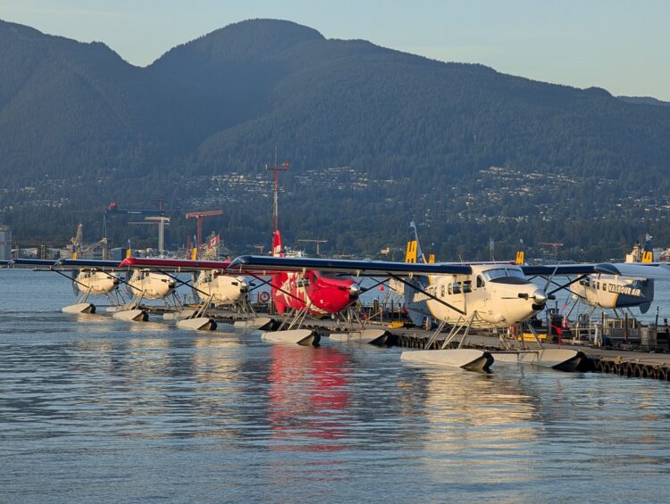 Harbour Air planes parked in a row in Vancouver Bay