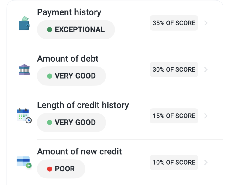 A screenshot from the free Experian app which shows which factors are affecting your credit.