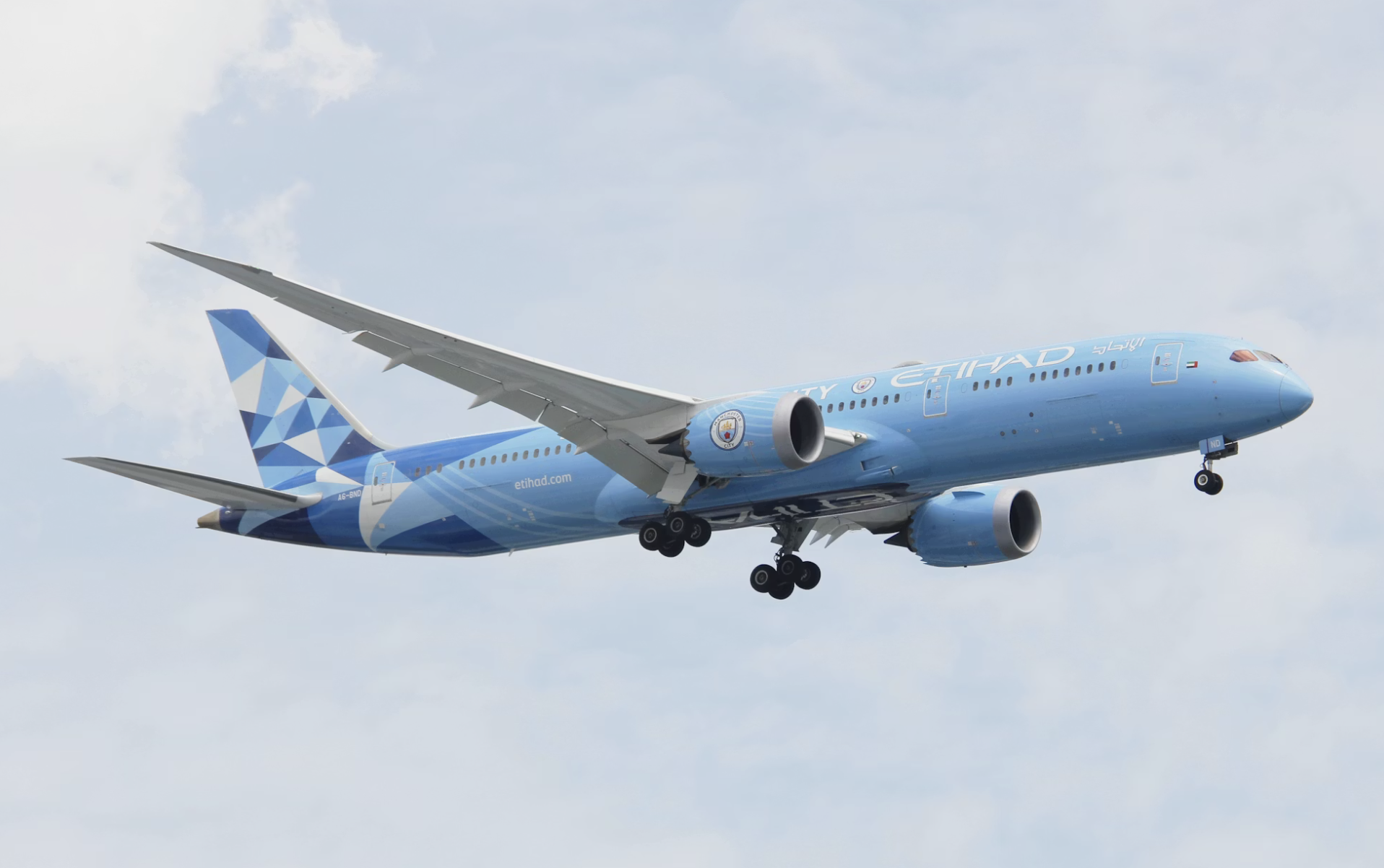 Etihad 787-9 in a special livery.